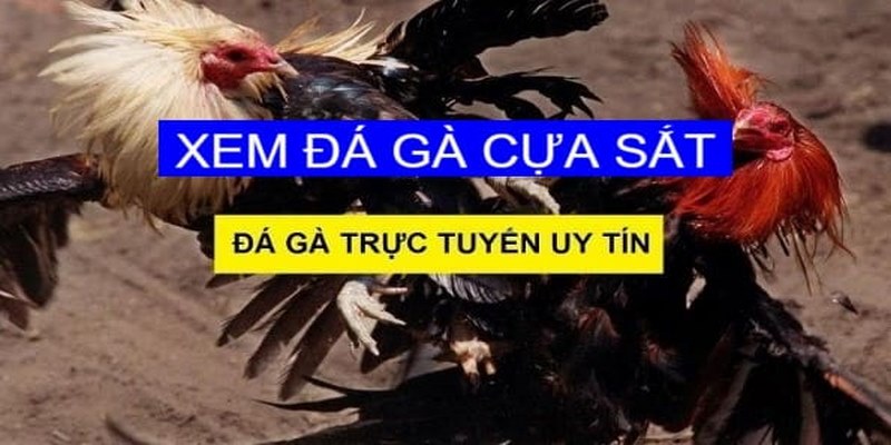 Giao diện trực quan