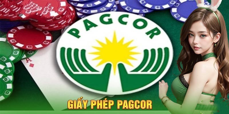 Một số giấy phép hoạt động 77bet sở hữu