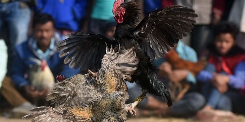 Đa dạng giải đấu