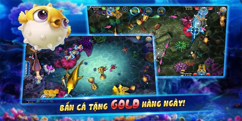 Khám phá đại dương kỳ diệu